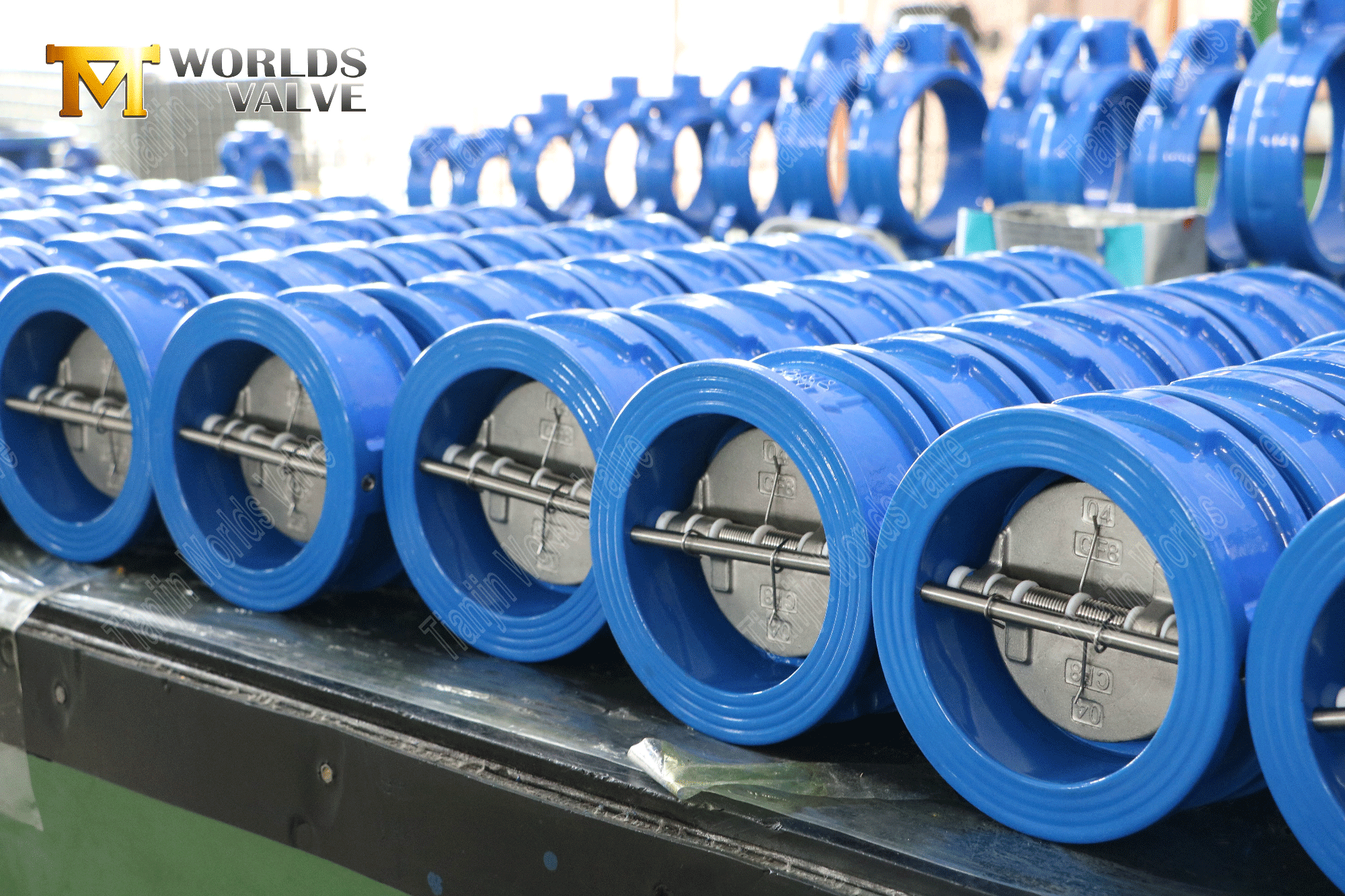 Dual Plate Check Valves Valbée anti-retour à double plaque PN16 avec siège EPDM et disque SS