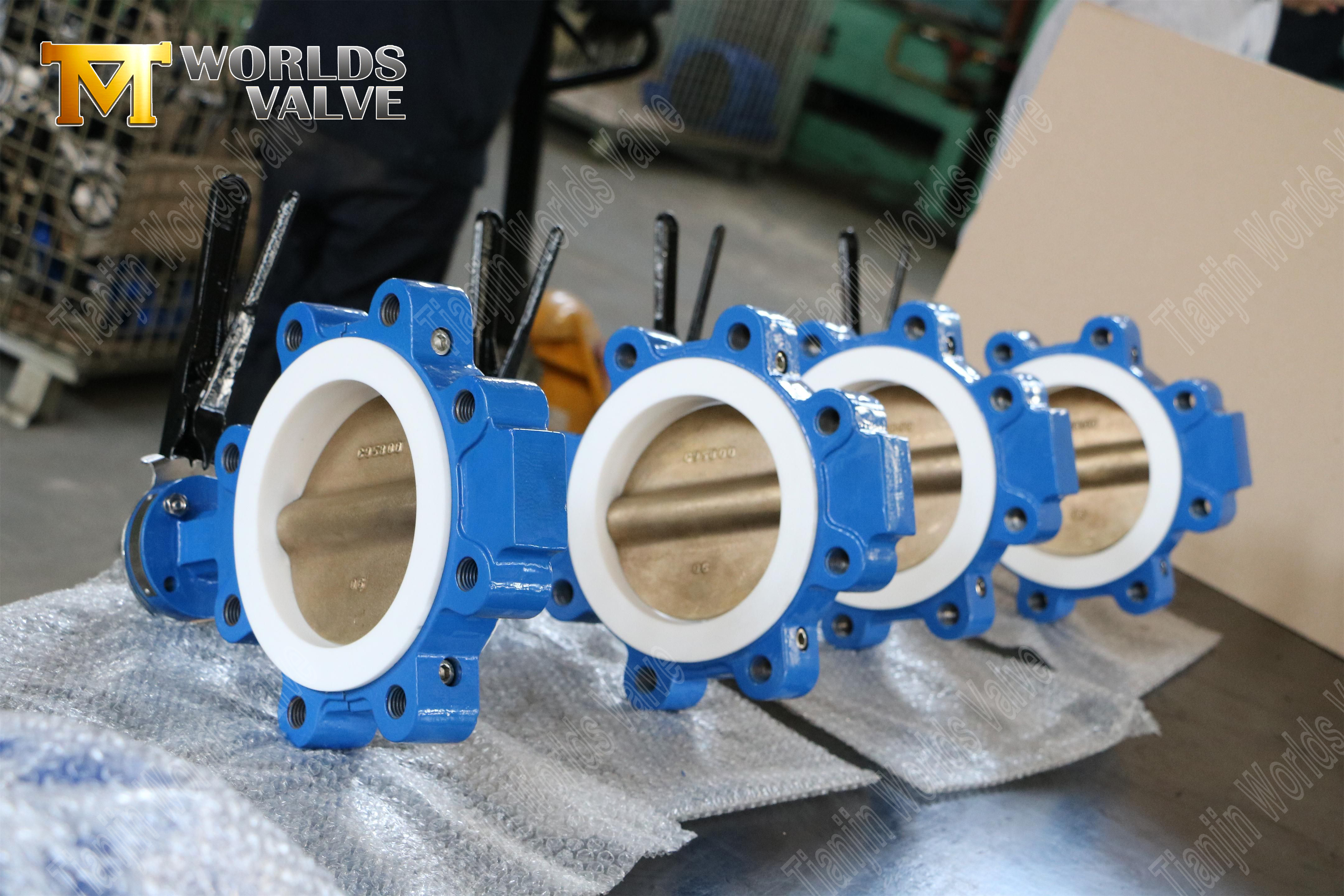 CBF05E-TL01BUTTERFLY VALVE Fabricants - PTFE PRODUGED ET TAPT TAPP BUTPARFLY VALVE-2 (2)
