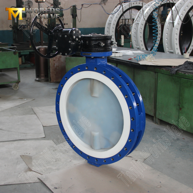 PTFE SIÈGE PFA DISC DISC DISC BUTPALVES | Défense de corrosion ultra-pure