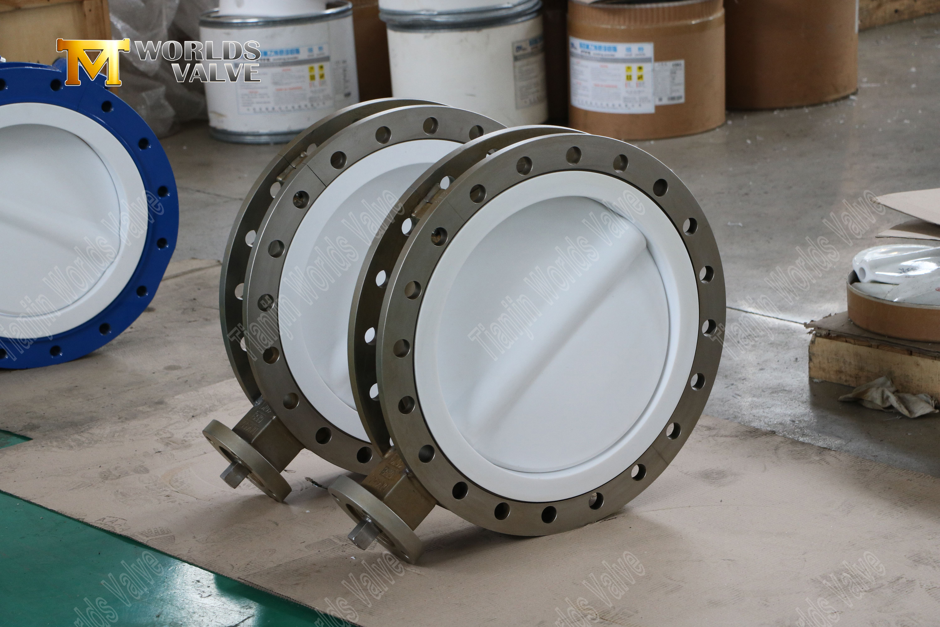 CF8M Split Body Butterfly Valve avec disque PTFE et SEAT-3 (3)