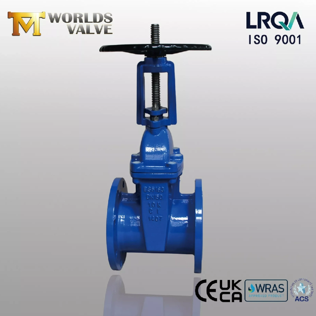 ResilientSeatedGateValve vs robinet-vanne à siège métallique — Que devez-vous savoir ?