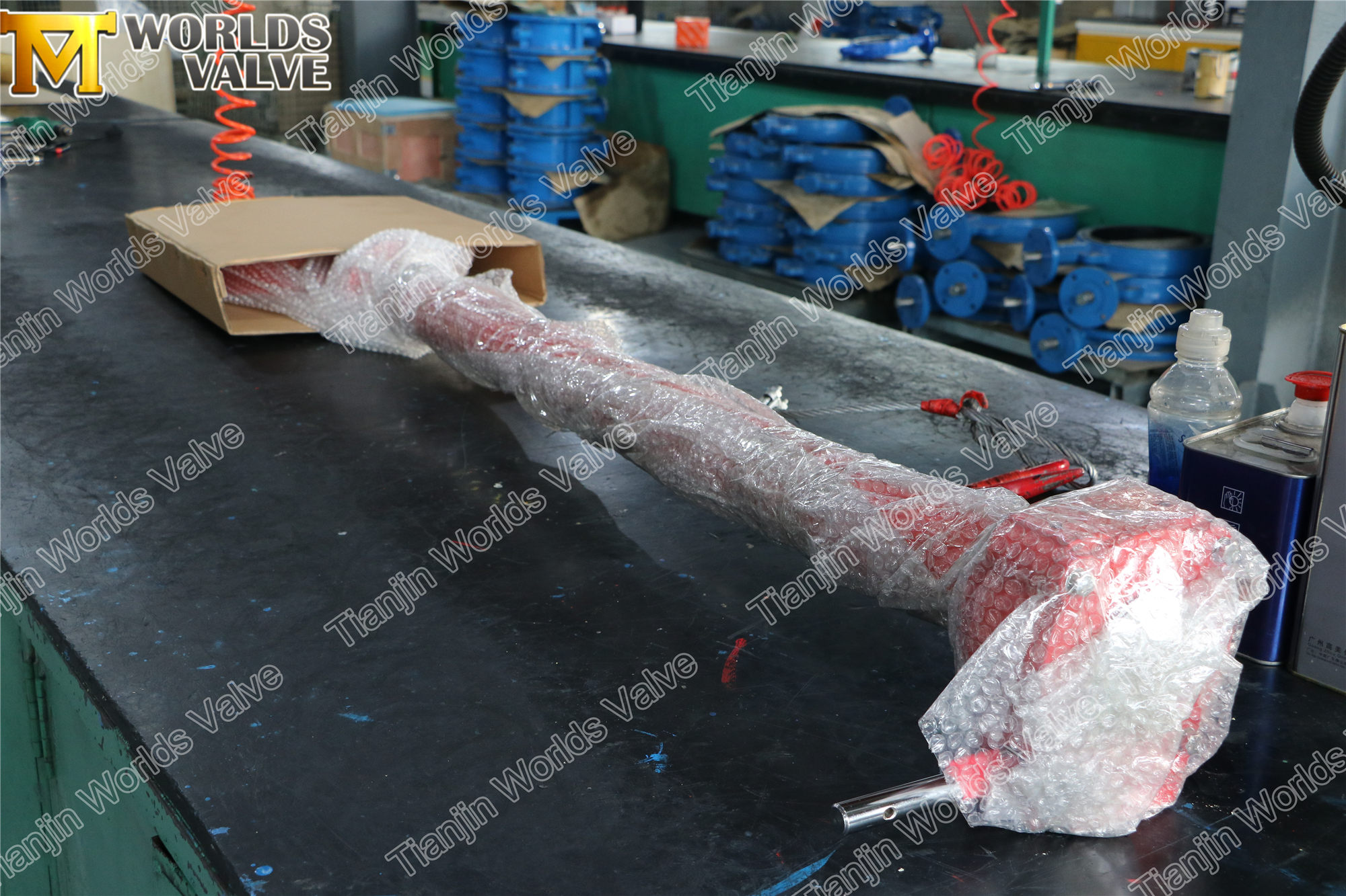 Vanne papillon doubl&eacute;e de PTFE avec tige d'extension (2)