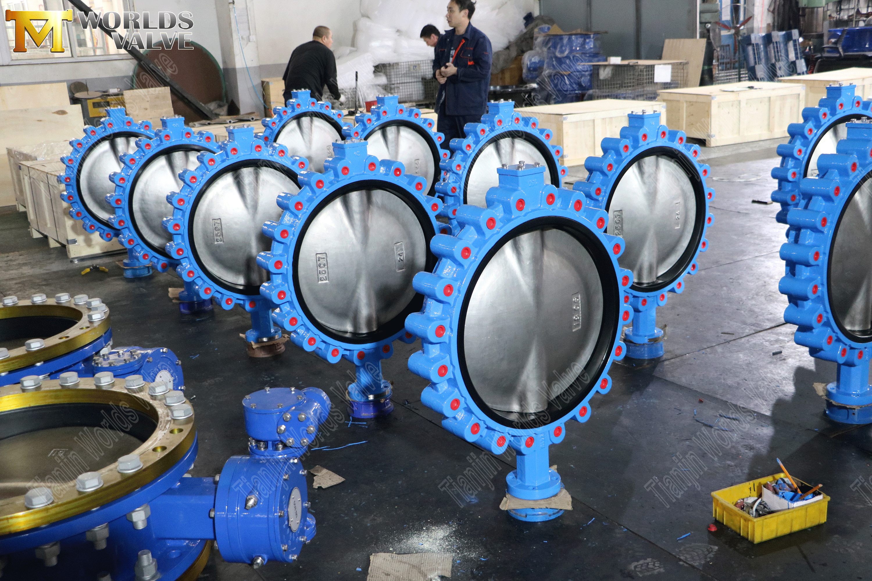 Lug Concentric Butterfly Wics with Worm Gear Operator (5)