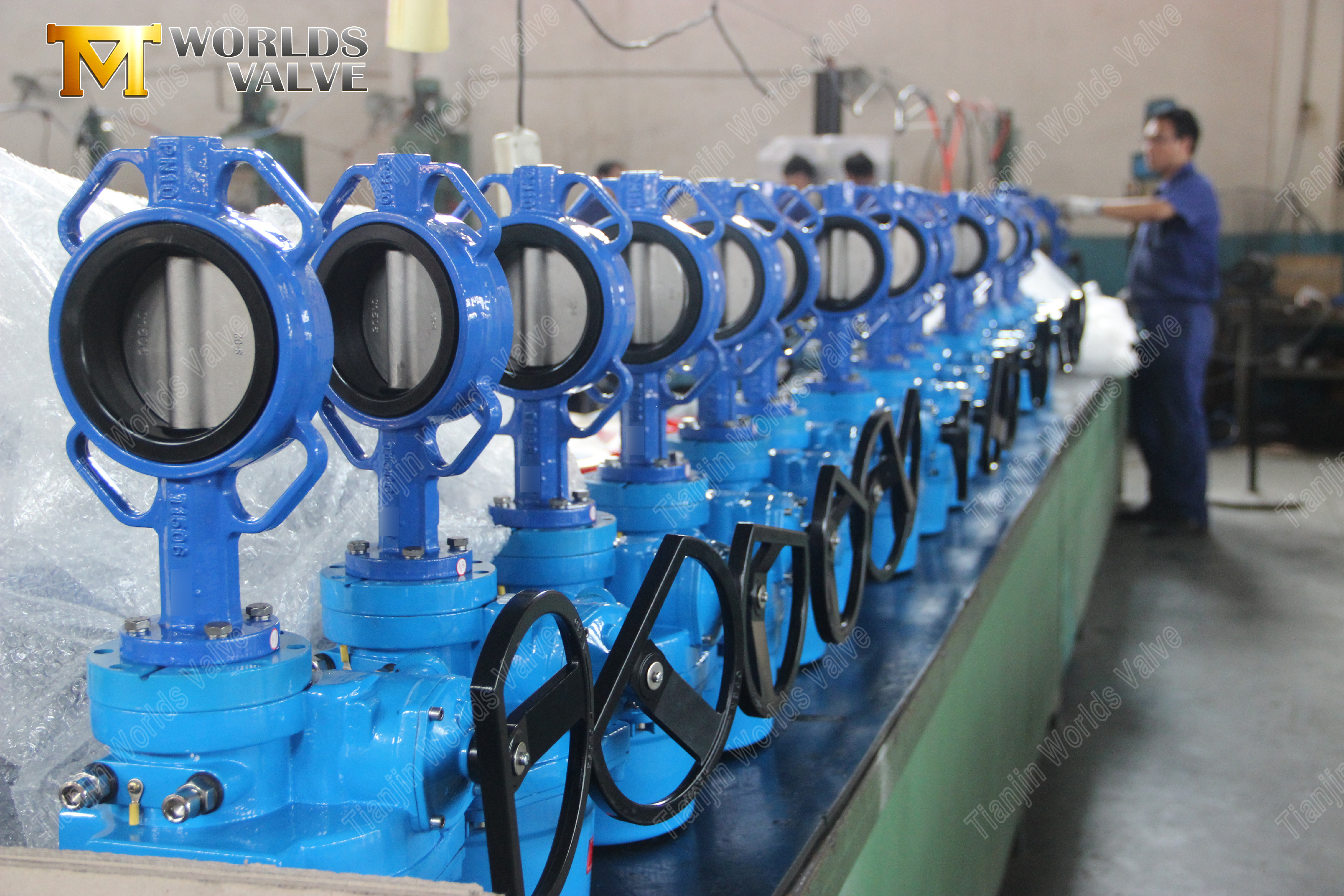 Si&egrave;ge en caoutchouc &agrave; dossier rigide et vanne papillon &agrave; disque SS-1 (3)