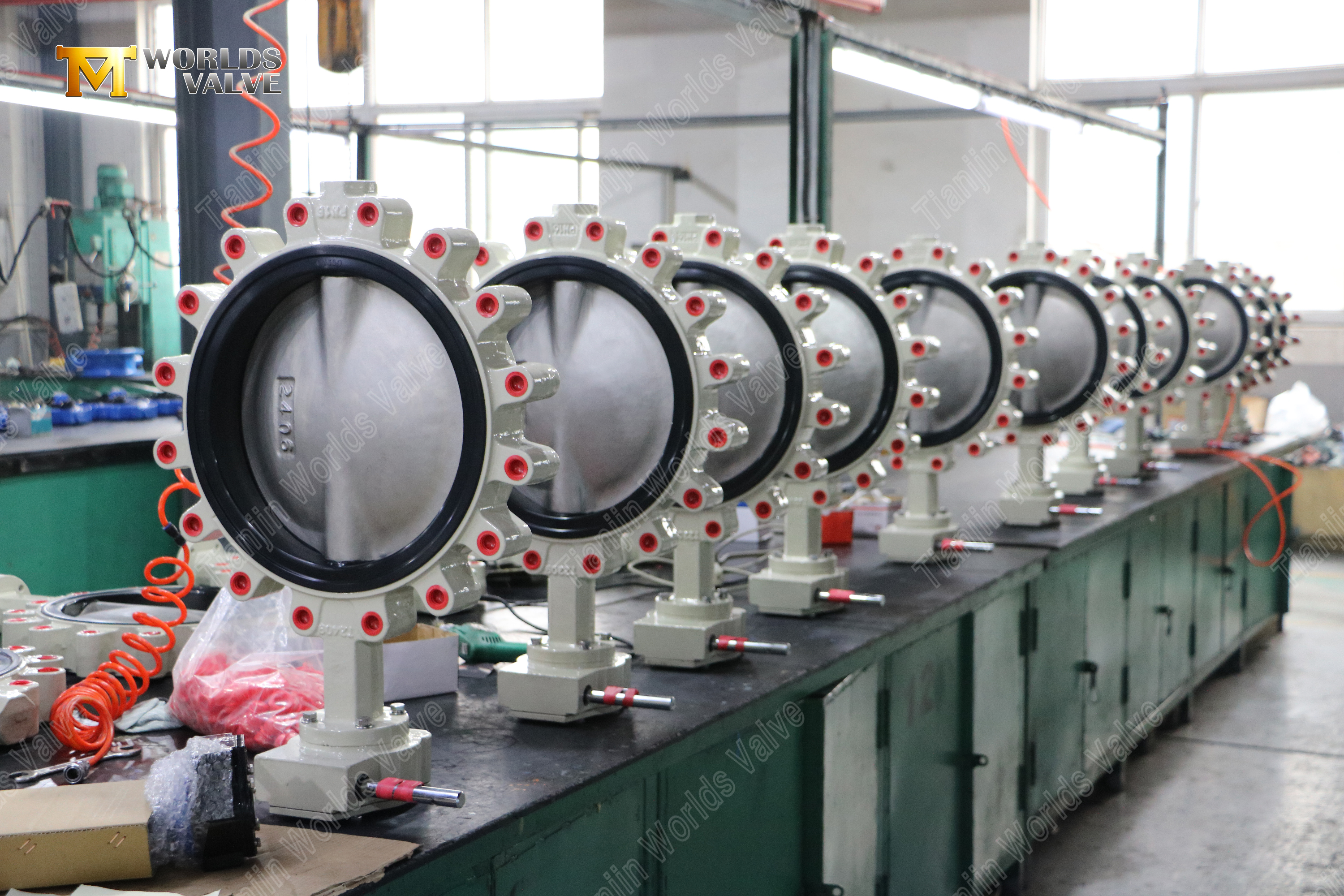 Vanne papillon &agrave; cosse &agrave; vis sans fin avec disque DI recouvert de nylon (6)