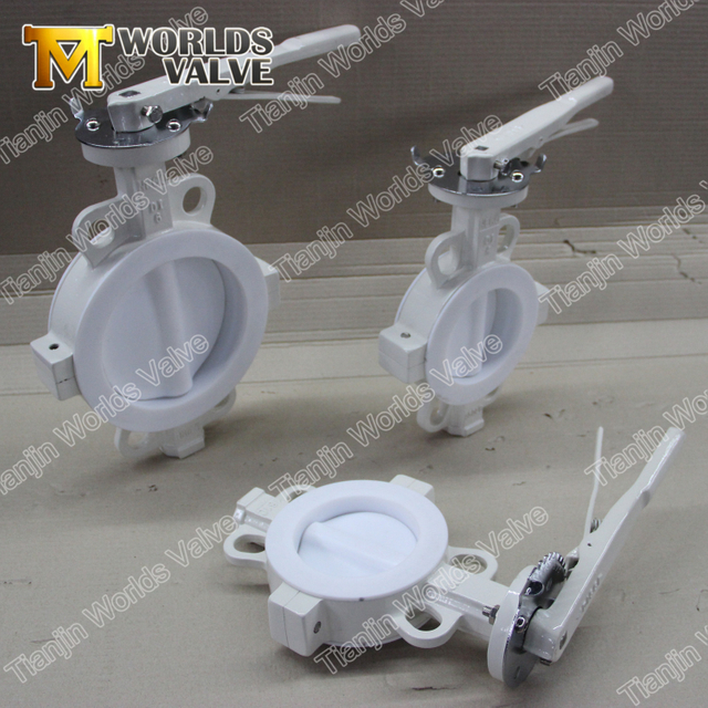 Vanne papillon à revêtement PTFE à brides