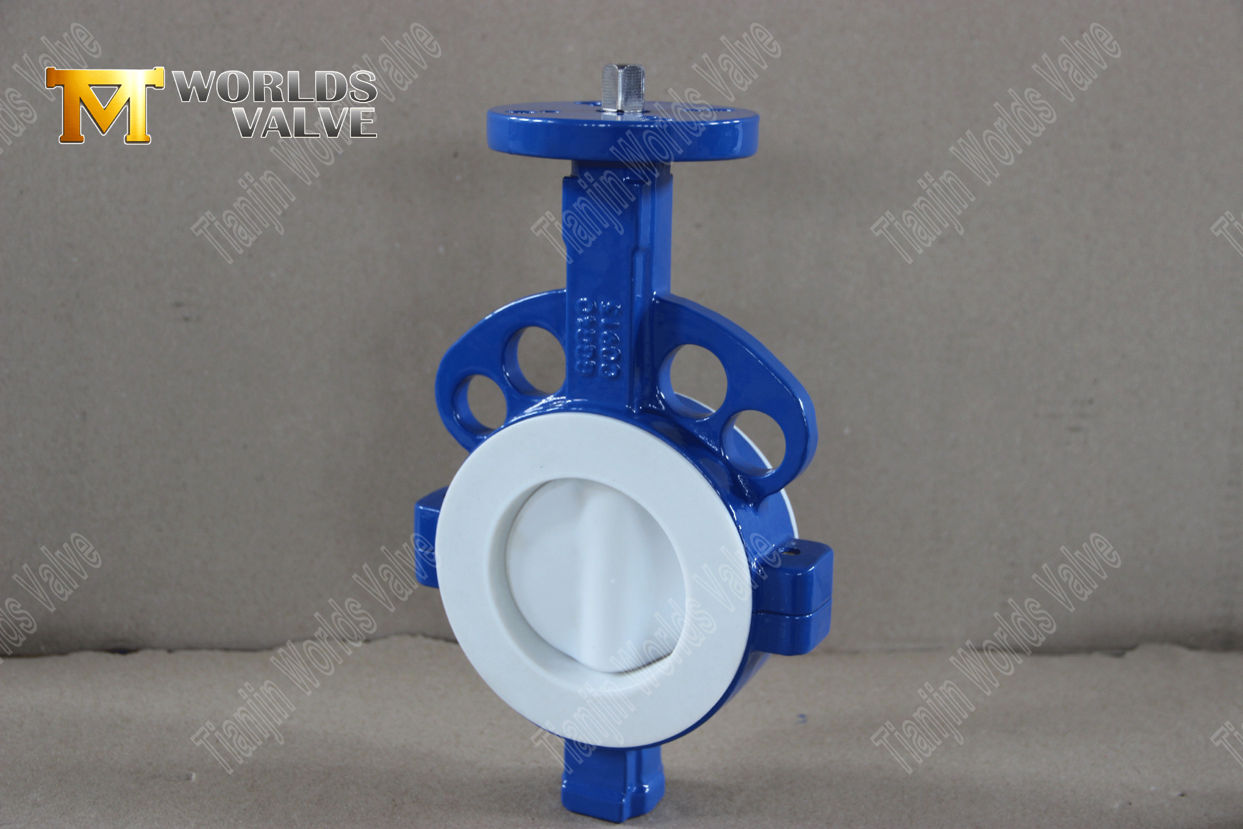 Ptfe-bindefly-valve