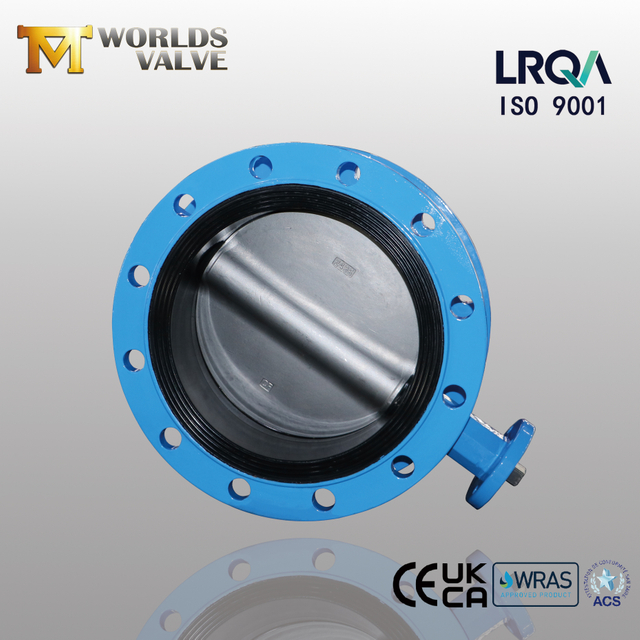 Fabricant de soupape de papillon de Chine - Disque en acier inoxydable en fer ductile et duplex