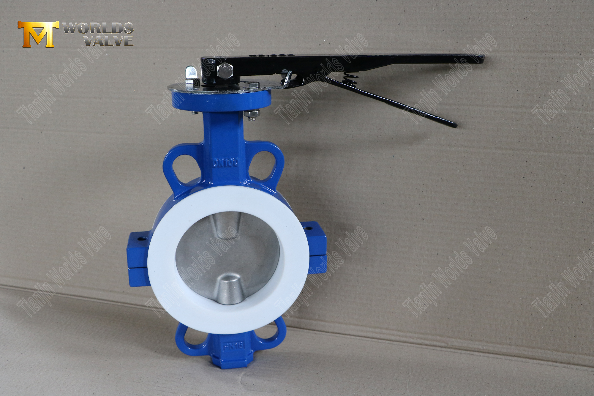 DN100-teflon-lin&eacute;-wafer-split-body-butterfly-valves - corrosion-r&eacute;sistant-flux-control- (1)