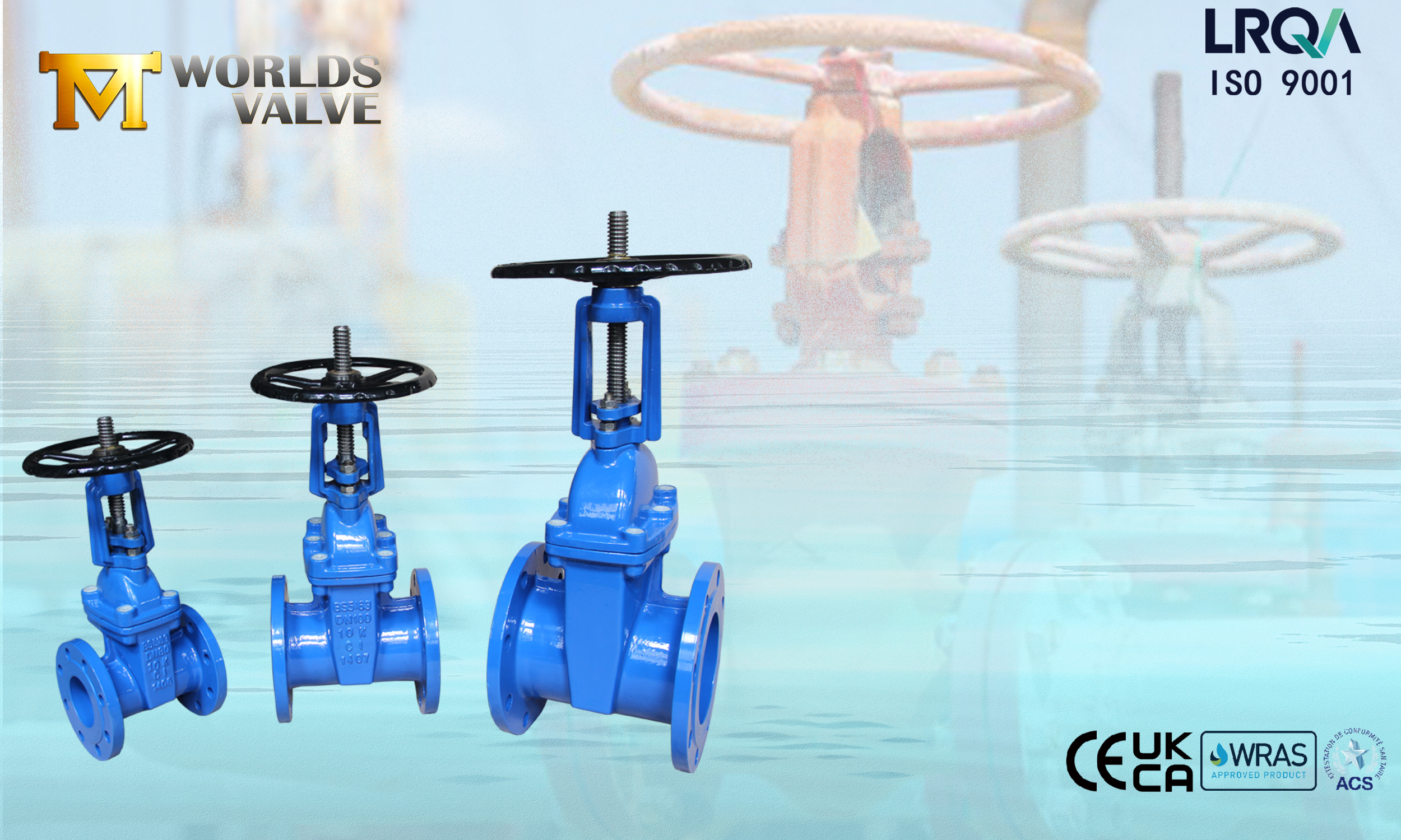 Vannes de porte de tige de surface résilientes BS 5163