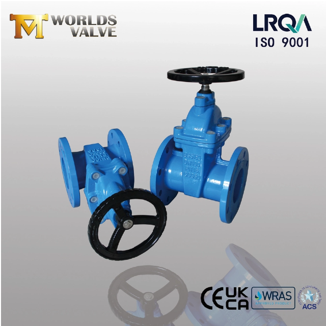 Explorer les types et les caractéristiques spéciales des ResilientSeatedGateValves