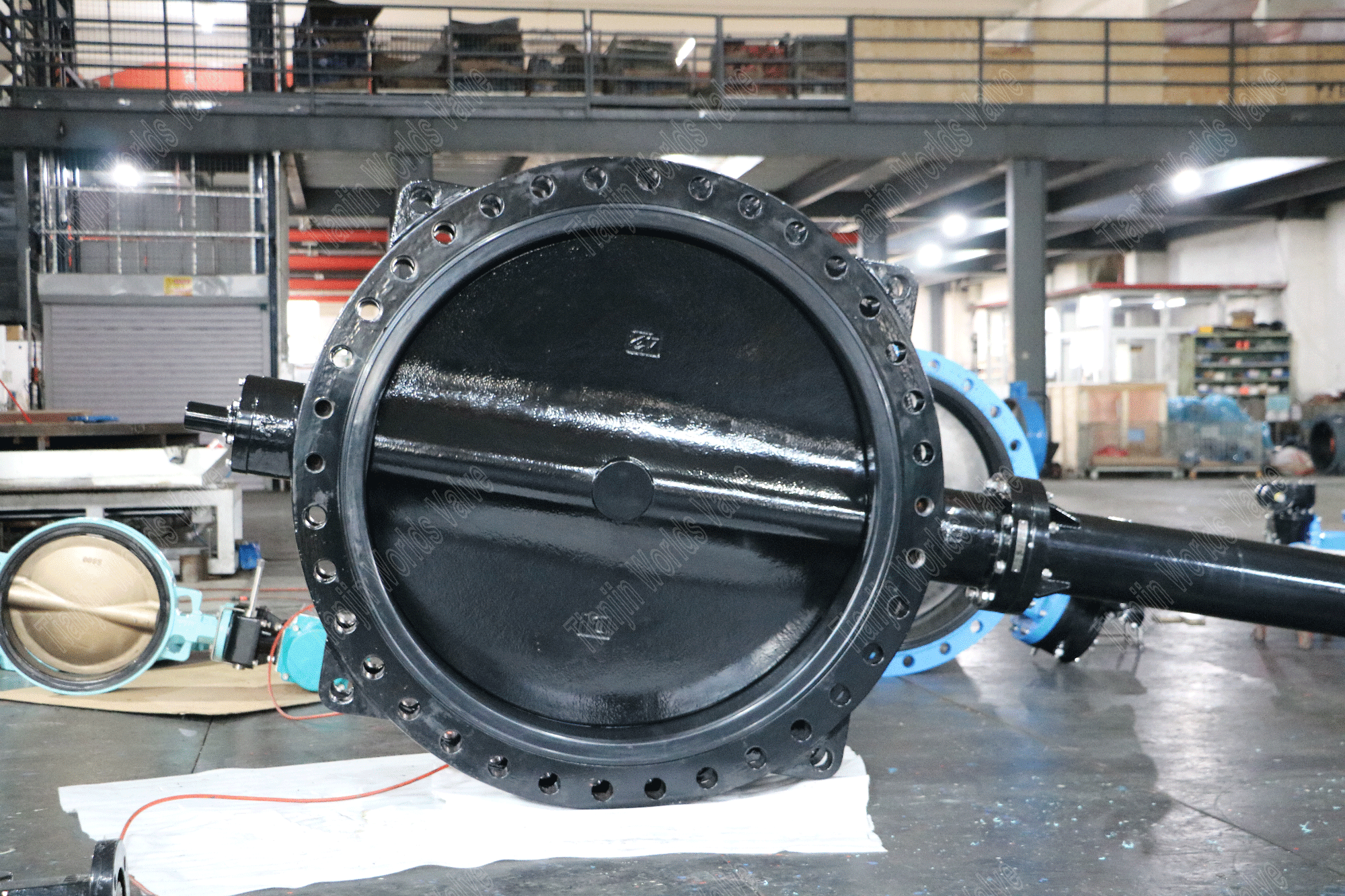 Disque DI avec une soupape de papillon enduit de nylon avec broche d'extension (2)