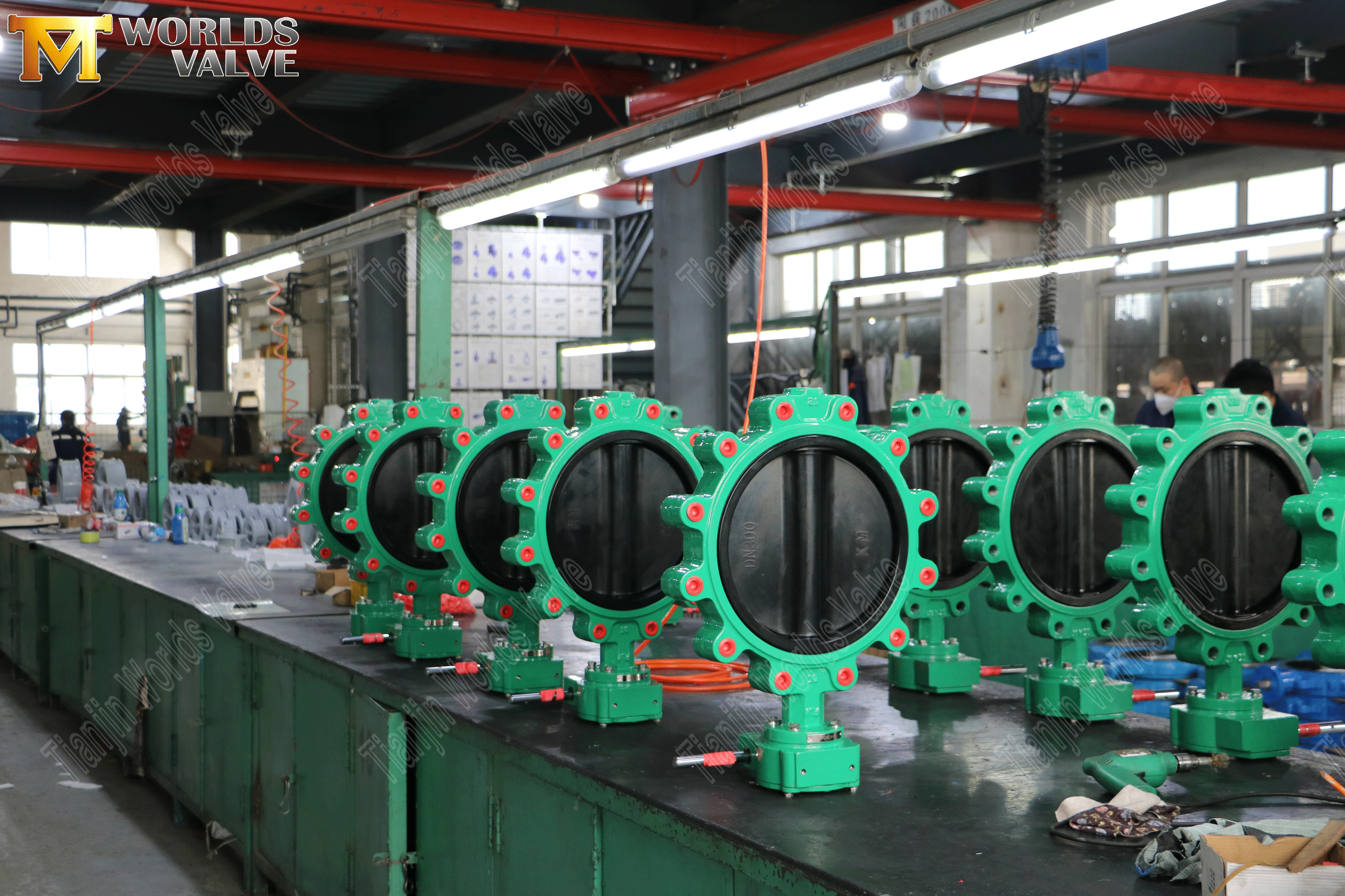 Lug Concentric Butterfly Wics with Worm Gear Operator (7)