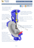 PTFE Doublure Type Papet Valve de papillon pour un milieu corrosif