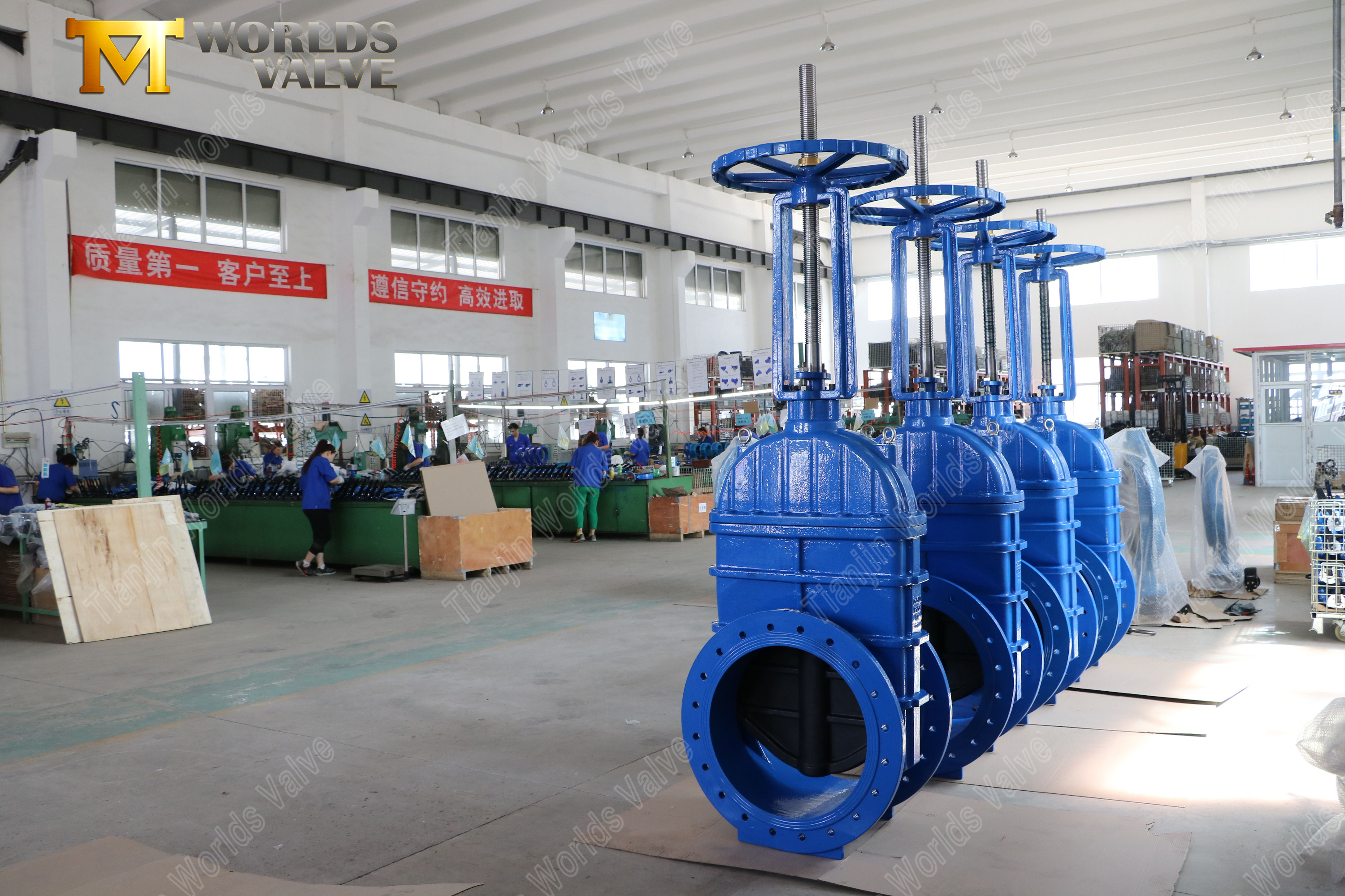 Vanne &agrave; tige montante &agrave; bride avec si&egrave;ge en EPDM et op&eacute;rateur de bo&icirc;te de vitesses (7)