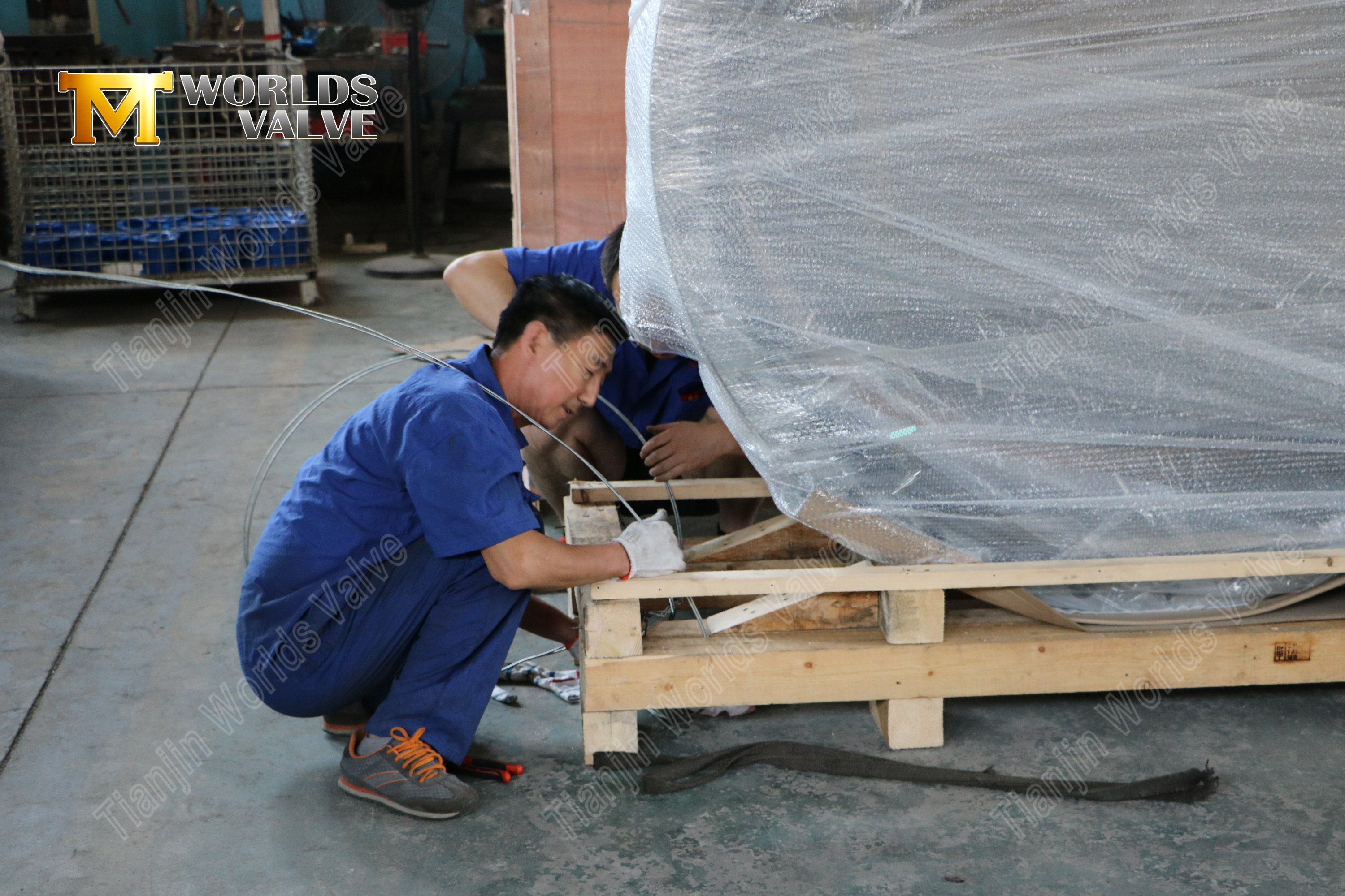 Vanne papillon &agrave; double bride en bronze d'aluminium (4)