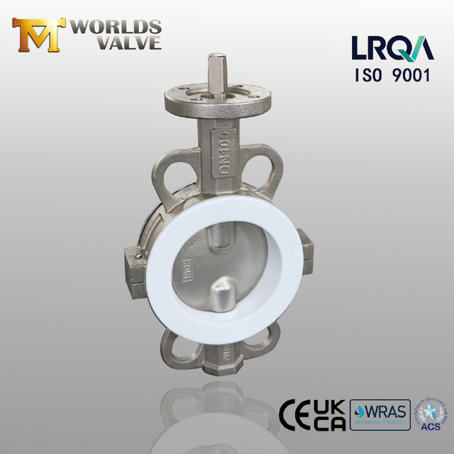 DN100 Valves de papillon DN100 Téflon à plate-forme à plate-forme | Contrôle du débit résistant à la corrosion
