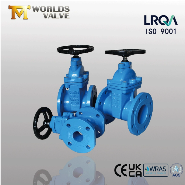 Comment fonctionne réellement une ResilientSeatedGateValve ?