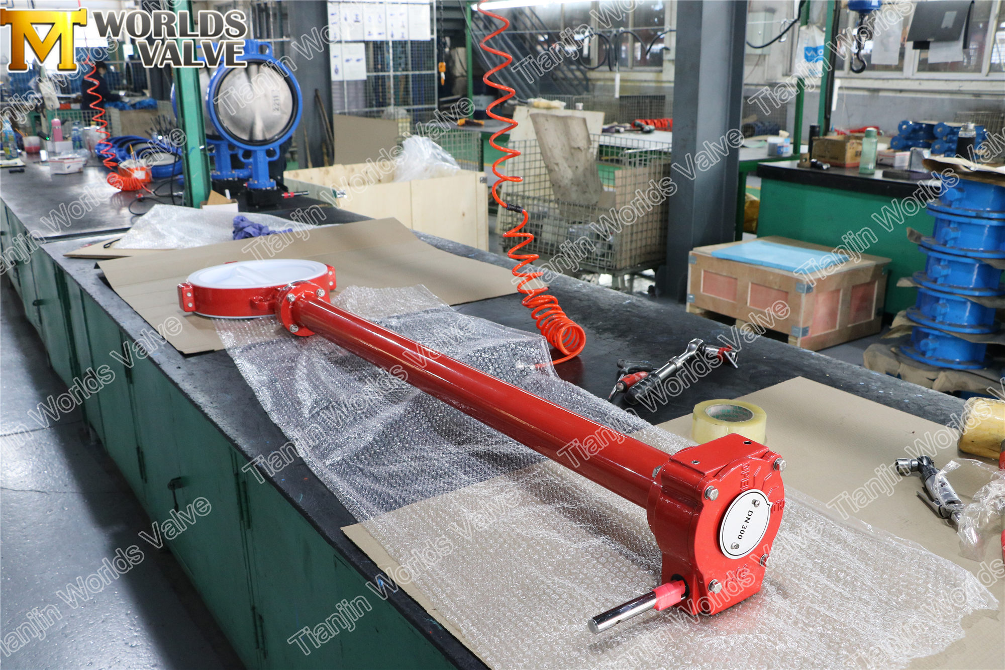 Vanne papillon doubl&eacute;e de PTFE avec tige d'extension (3)