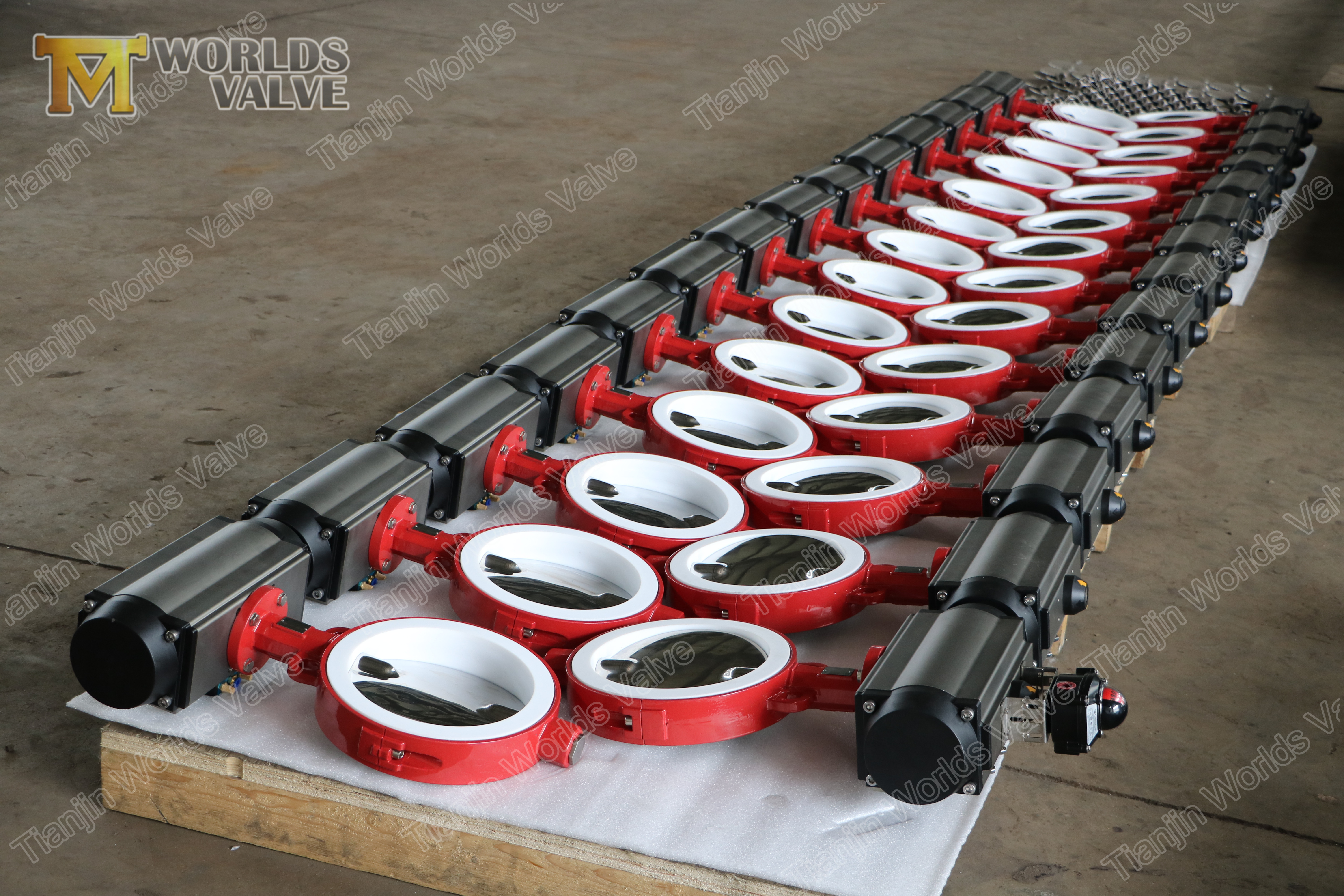 2 Disque poli en acier inoxydable et si&egrave;ge PTFE, haute performance