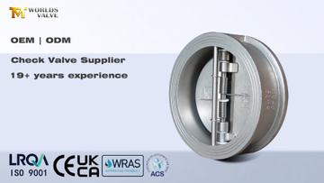 Check Valves Essential Backflow Prevention for Industrial Systems Worlds Valve.jpg