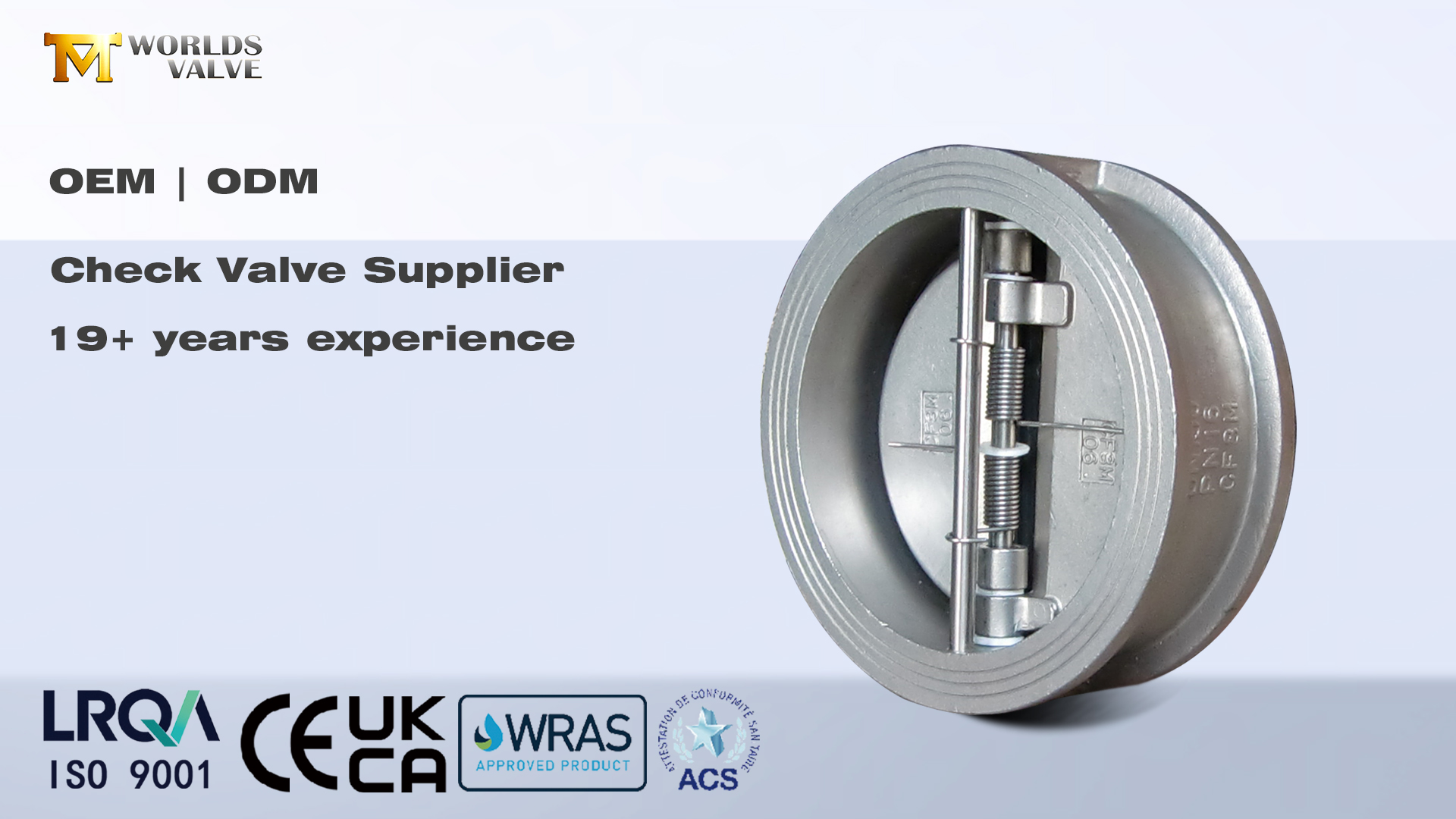 Clapets anti-retour : prévention essentielle du refoulement pour les systèmes industriels | Soupape des mondes