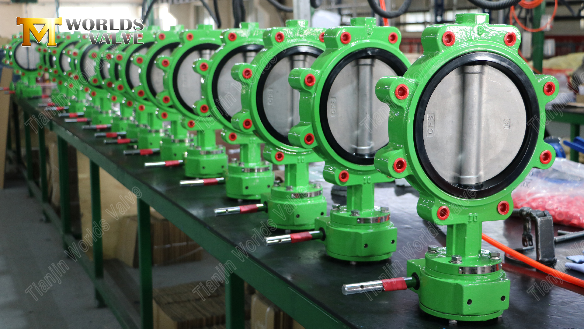 PN16-LUG-Valve-papillon-Corps-en-fer-ductile-&-CF8M-Disc-7