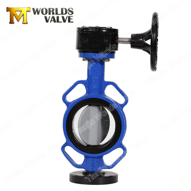 RILSAN NYLON 11 Vanne de papillon à disque recouverte de disque à disque