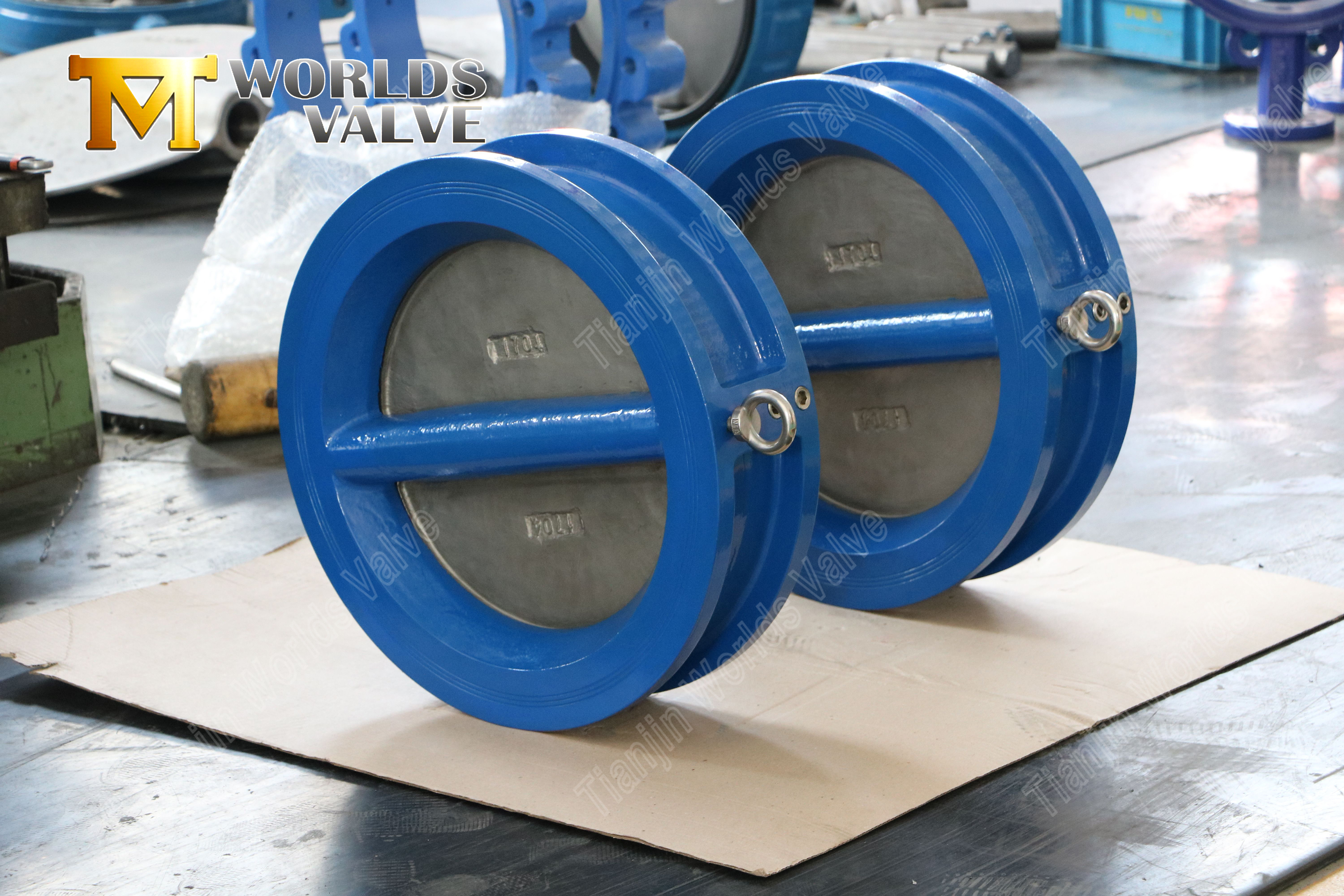 Clapet anti-retour &agrave; double plaque en acier inoxydable avec disques en alliage C954 (8)