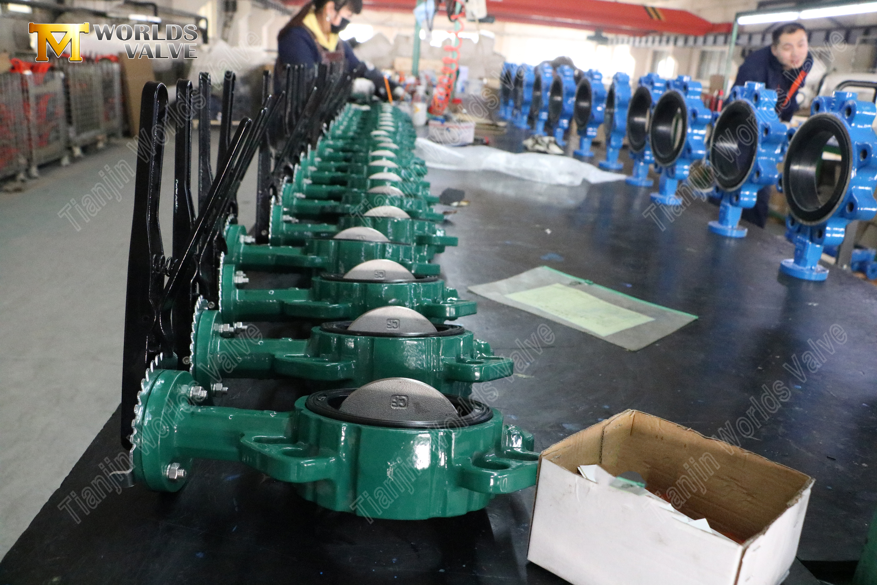 Vanne papillon &agrave; plaquette avec si&egrave;ge amovible, conception &agrave; entretien facile actionn&eacute;e par levier-1 (3).jpg