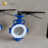 DN100 Valves de papillon DN100 Téflon à plate-forme à plate-forme | Contrôle du débit résistant à la corrosion