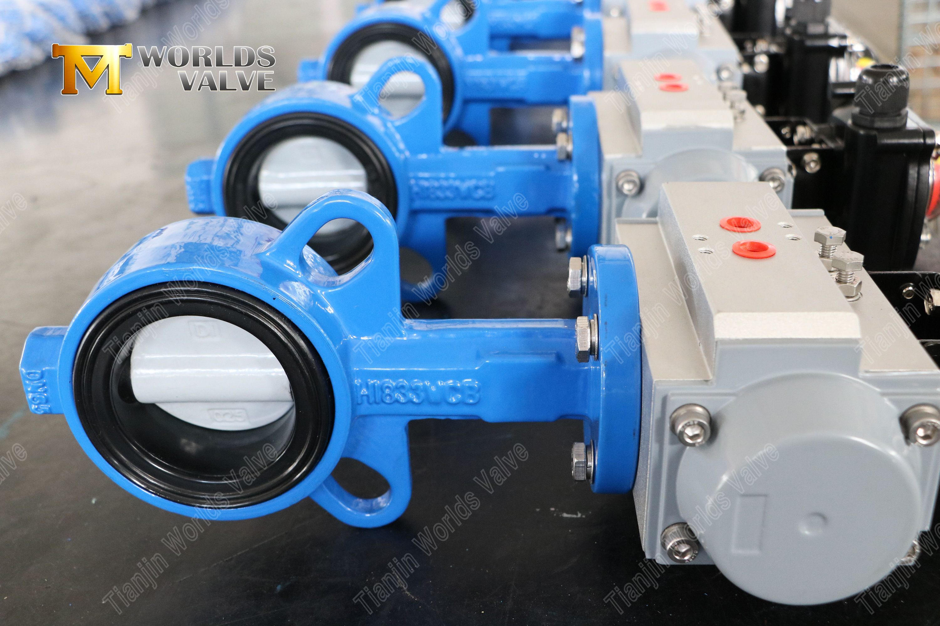 Vanne de papillons &agrave; plaquette avec disque rev&ecirc;tu en nylon et corps WCB Resistance de corrosion rentable-1 (3)