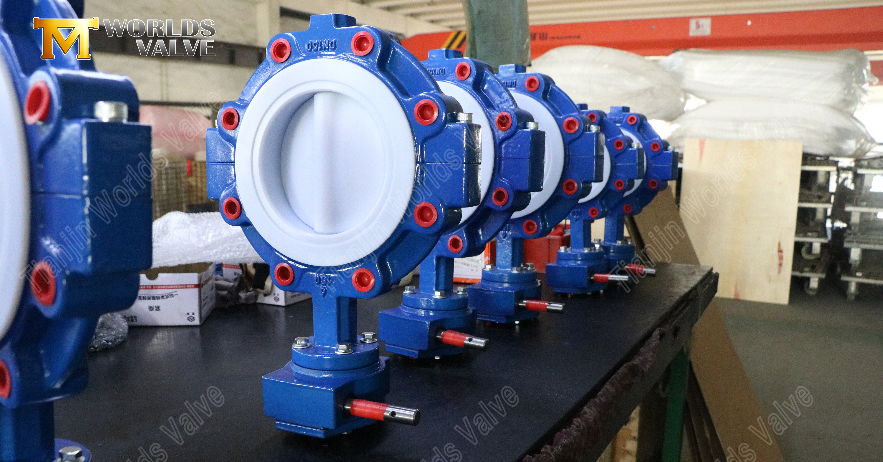 Vannes papillon &agrave; cosses scell&eacute;es en t&eacute;flon &agrave; corps divis&eacute; (1)