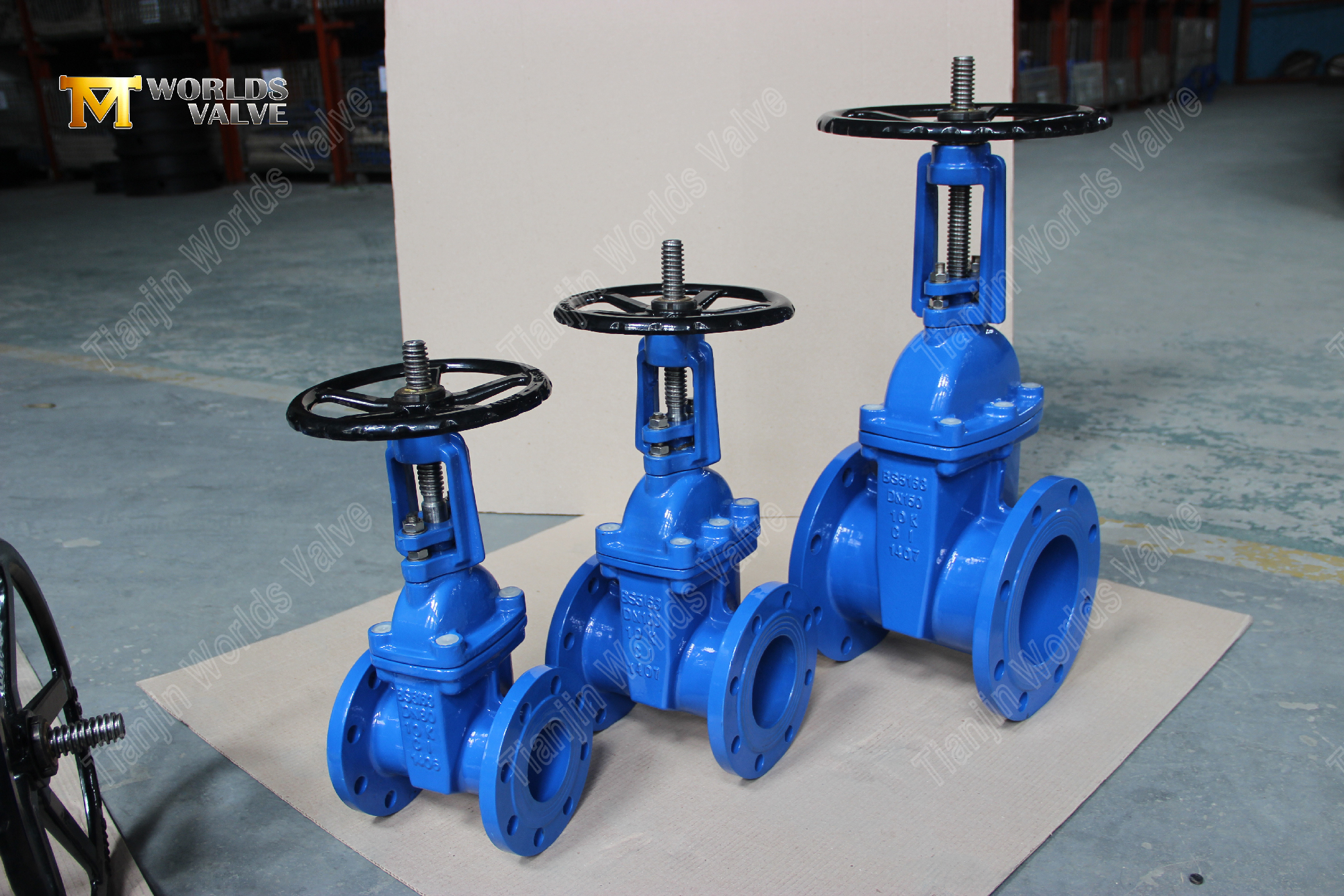 BS5163 Vanne de porte &agrave; bride r&eacute;siliente avec une solution de contr&ocirc;le de l'eau fiable de la tige montante-1 (2)