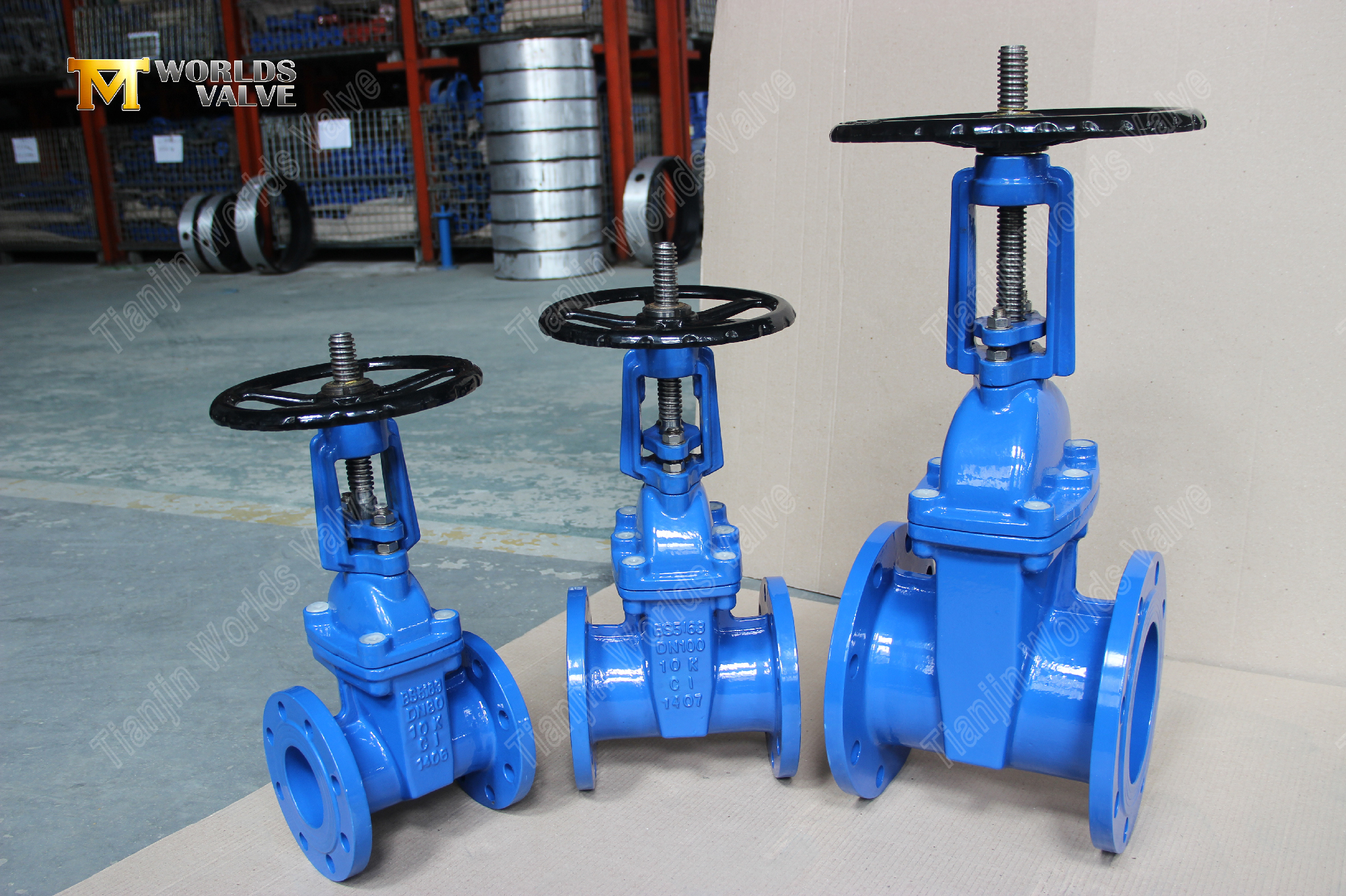 BS5163 Vanne de porte &agrave; bride r&eacute;siliente avec une solution de contr&ocirc;le de l'eau fiable de la tige montante-1 (1)