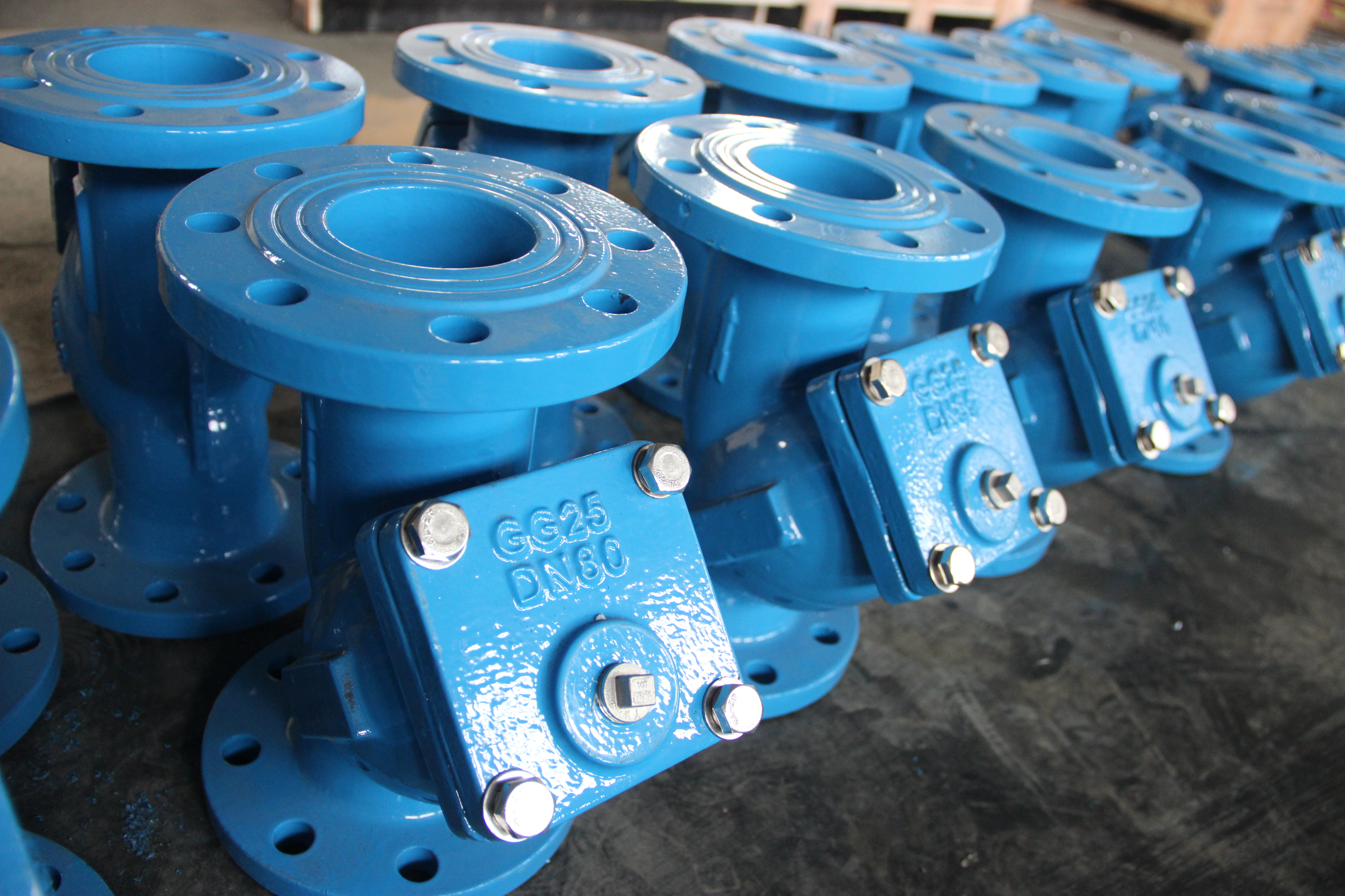 Filtre de type Y DN80, corps en fonte ductile, connexion &agrave; bride, protection des pipelines industriels (3).JPG