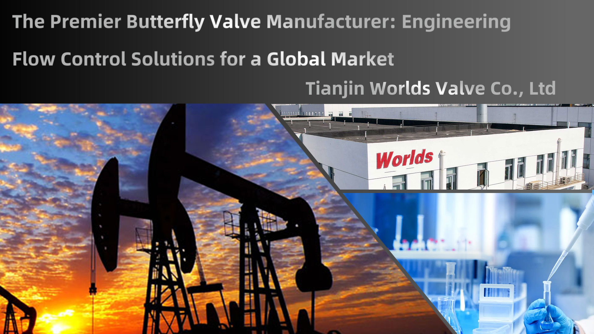 Le premier fabricant de vannes papillon : solutions d'ingénierie de contrôle de débit pour un marché mondial | Tianjin mondes Valve Co., Ltd.