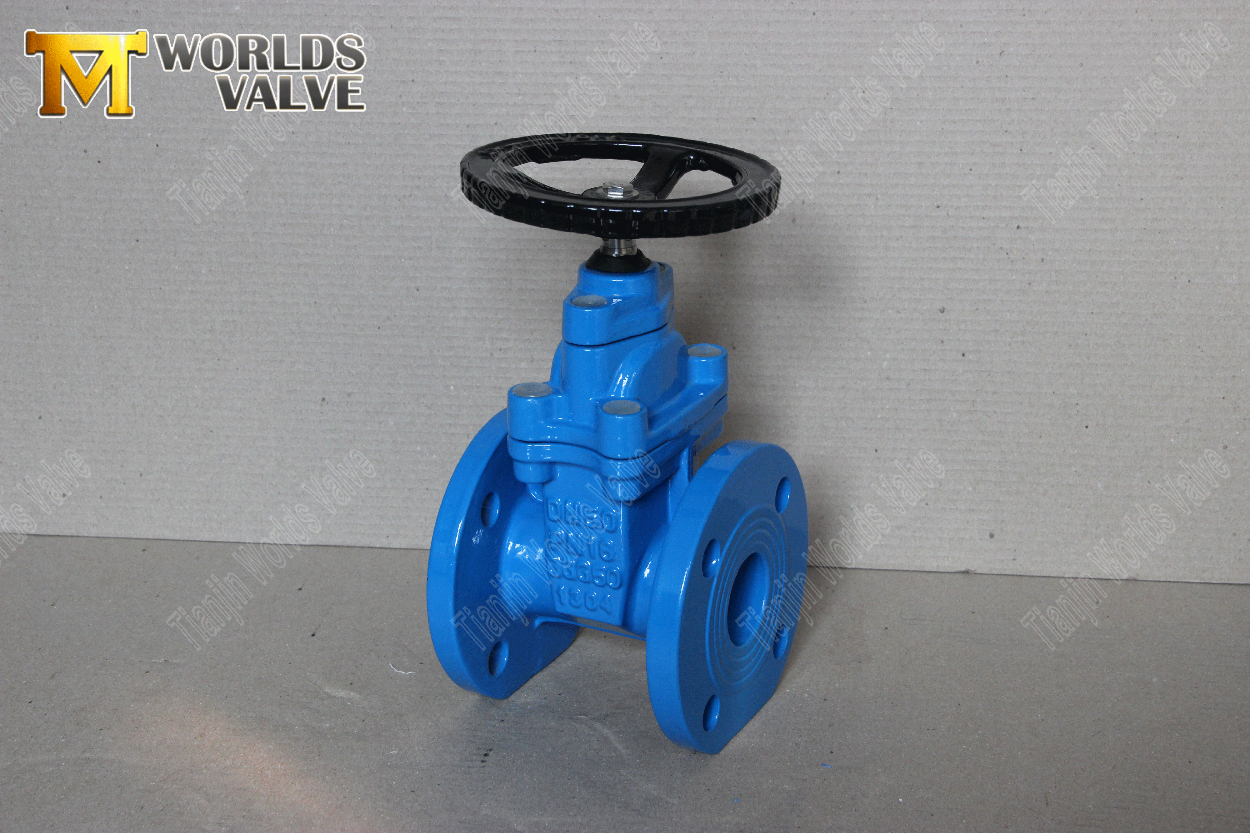 AWWA-C509-Gate-Valve-With-Resilient-Sathed