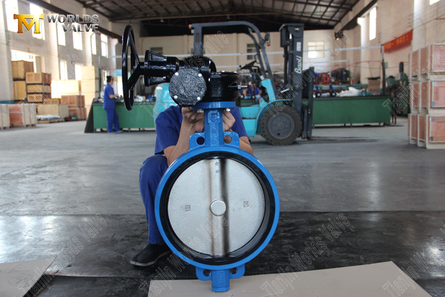 Vannes de papillon de type à plaquette à plate-forme à plate