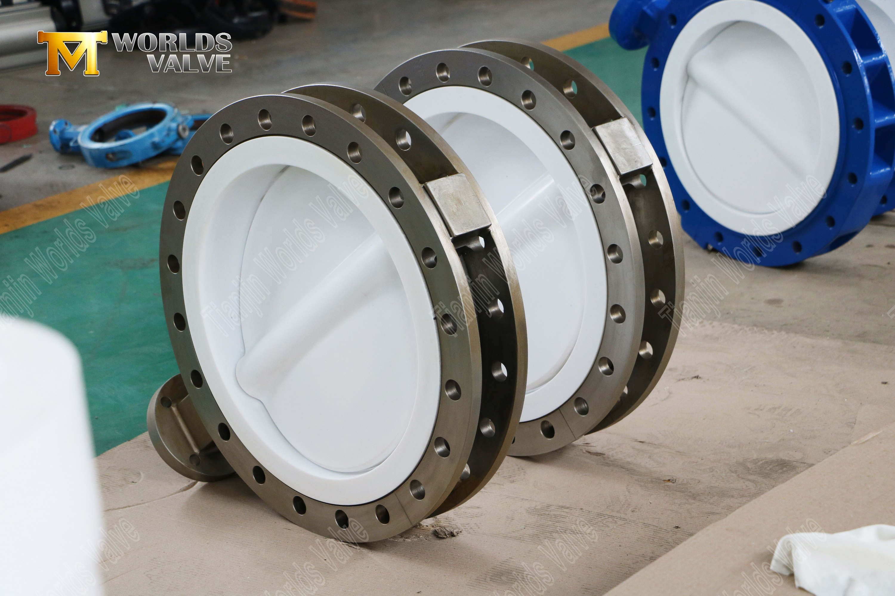 CF8M Split Body Butterfly Valve avec disque PTFE et SEAT-3 (2)