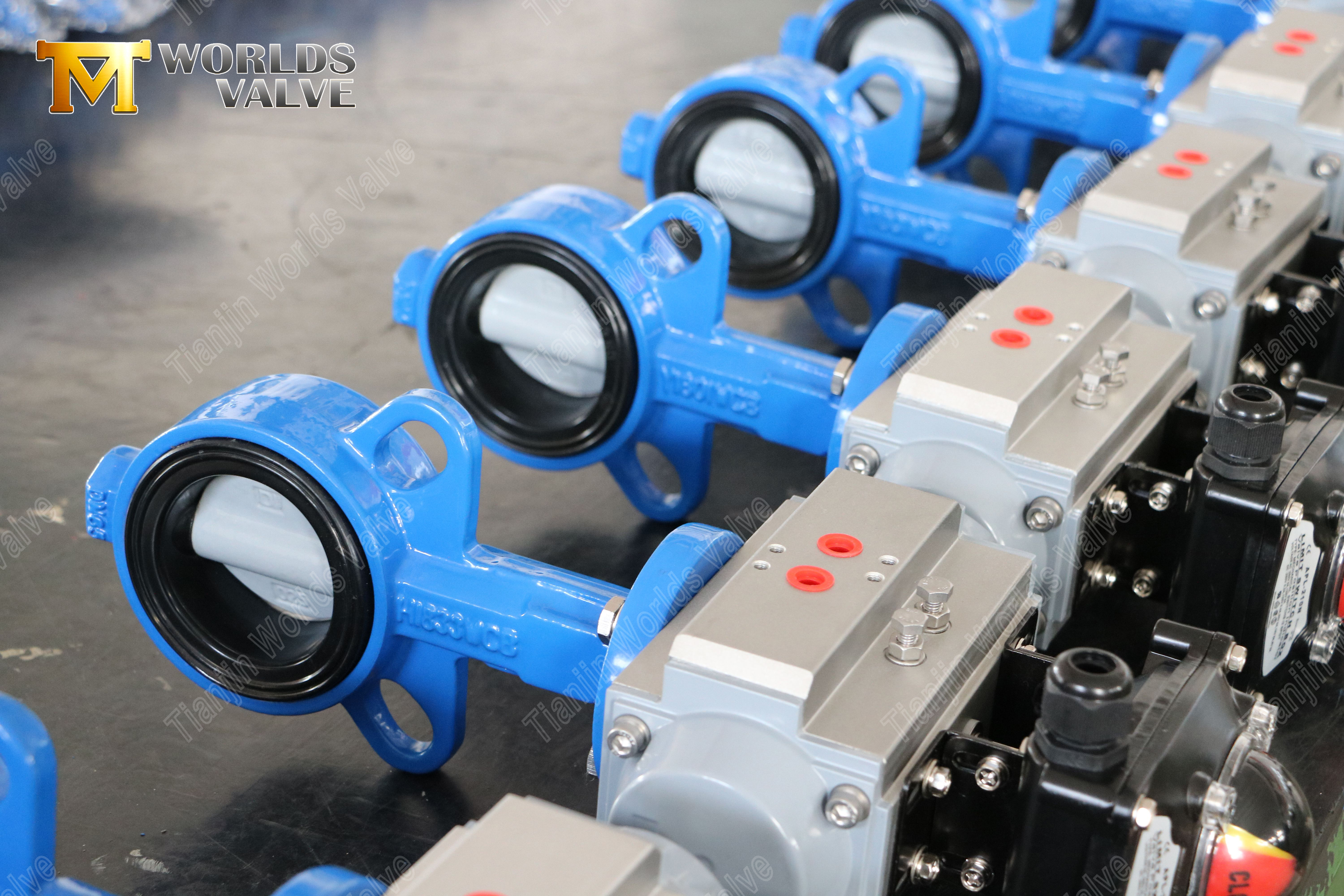 Vanne de papillons &agrave; plaquette avec disque enduit en nylon et corps WCB Resistance de corrosion rentable-1 (2)