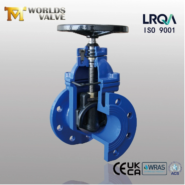 Pourquoi choisir une vanne ResilientSeatedGateValve pour votre système de pipeline ?