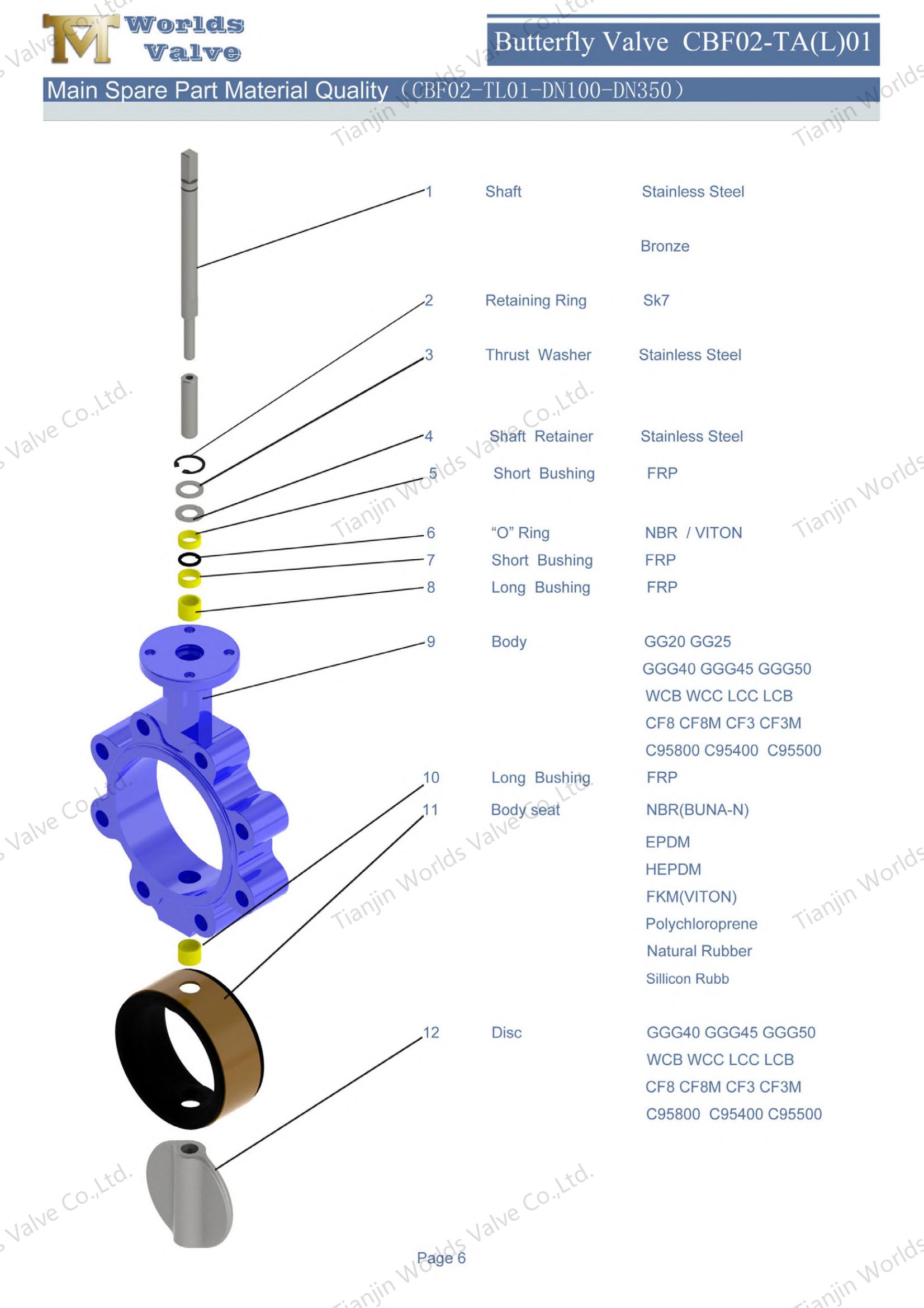 Lug Concentric Butterfly Wics with Worm Gear Operator (2)