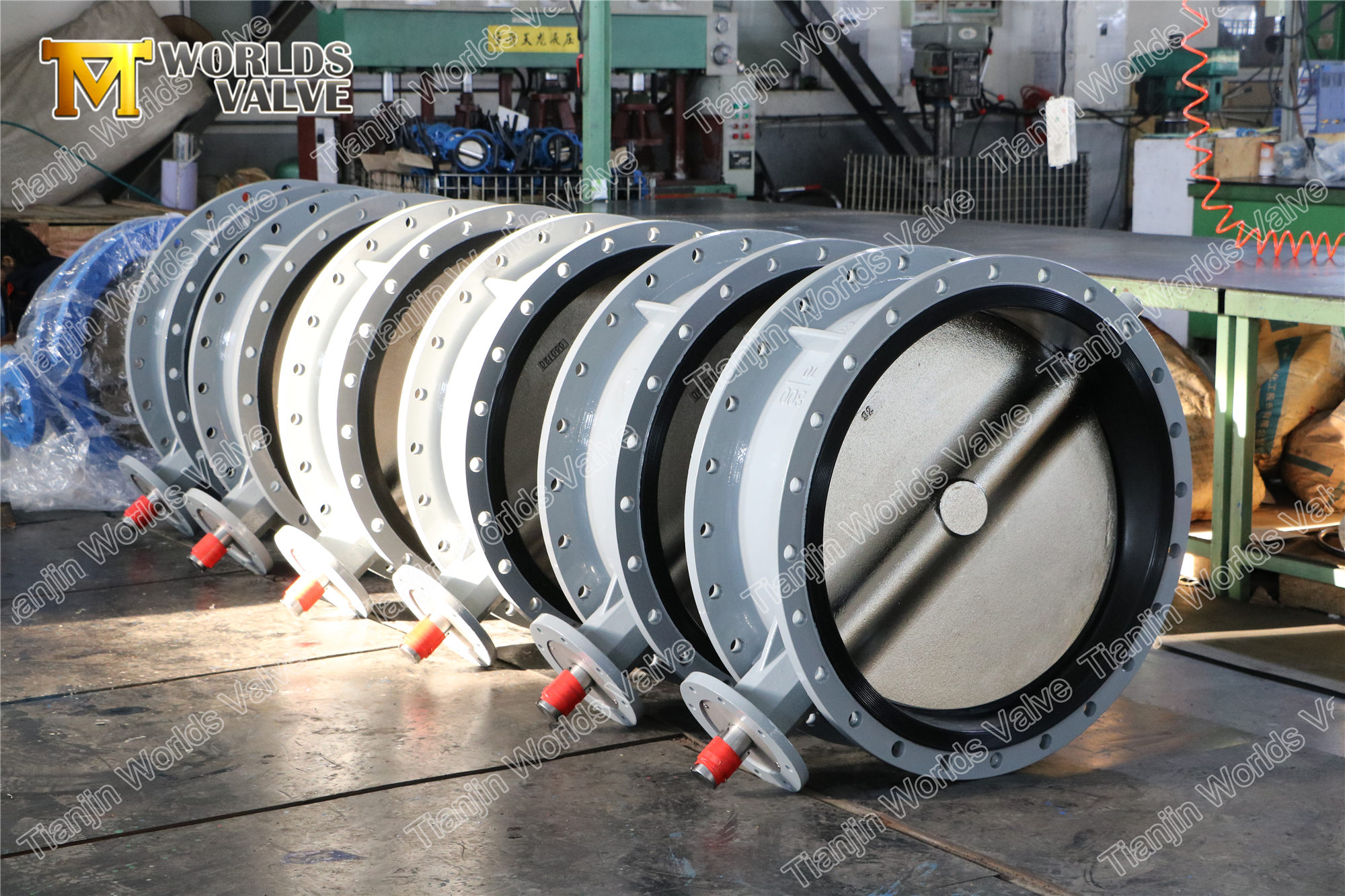 2 EN593FEN558BS5155 Vanne papillon &agrave; double bride standard