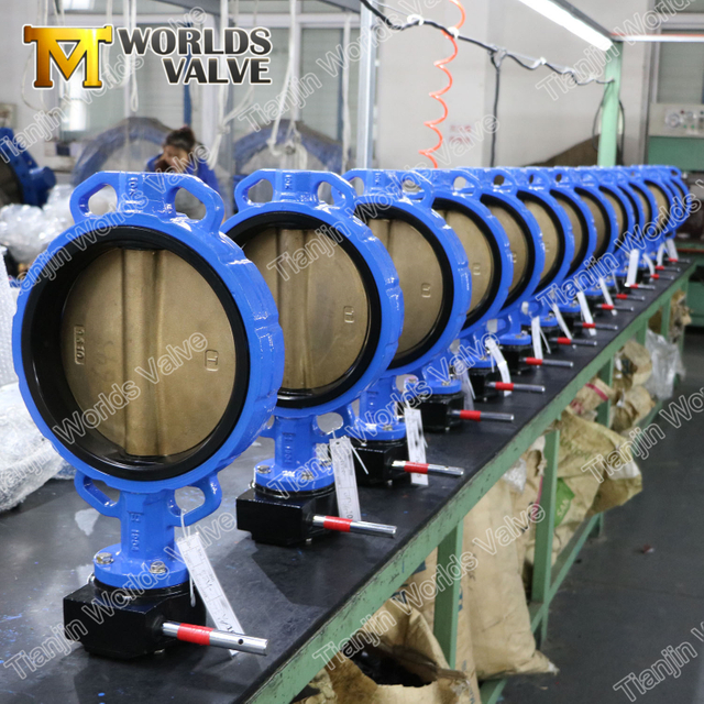 GGG40 / GGG50 A536 A395 Vannes papillon ductile ductile A395