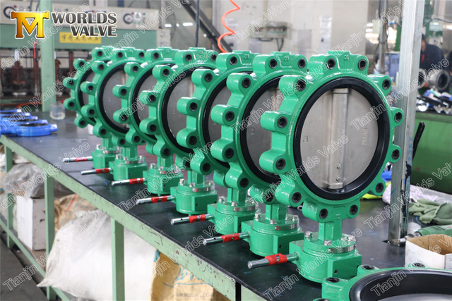 Vanne papillon à cosse concentrique EN593 API609 Class150