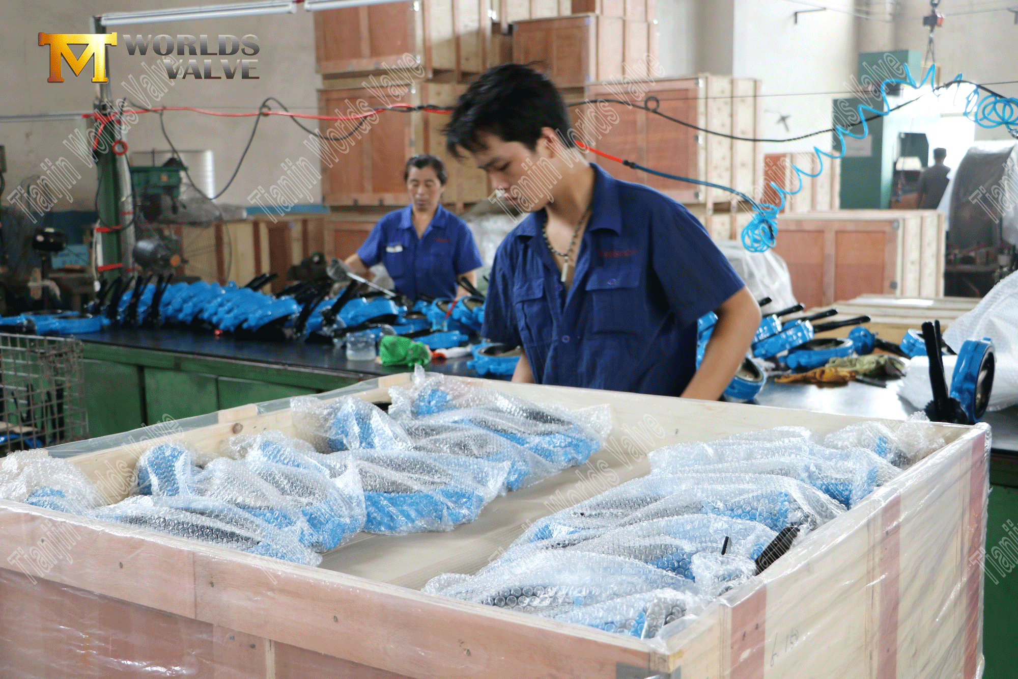 Fabricant de soupape de porcelaine - Vanne papillon de type Wafer en fonte (8)