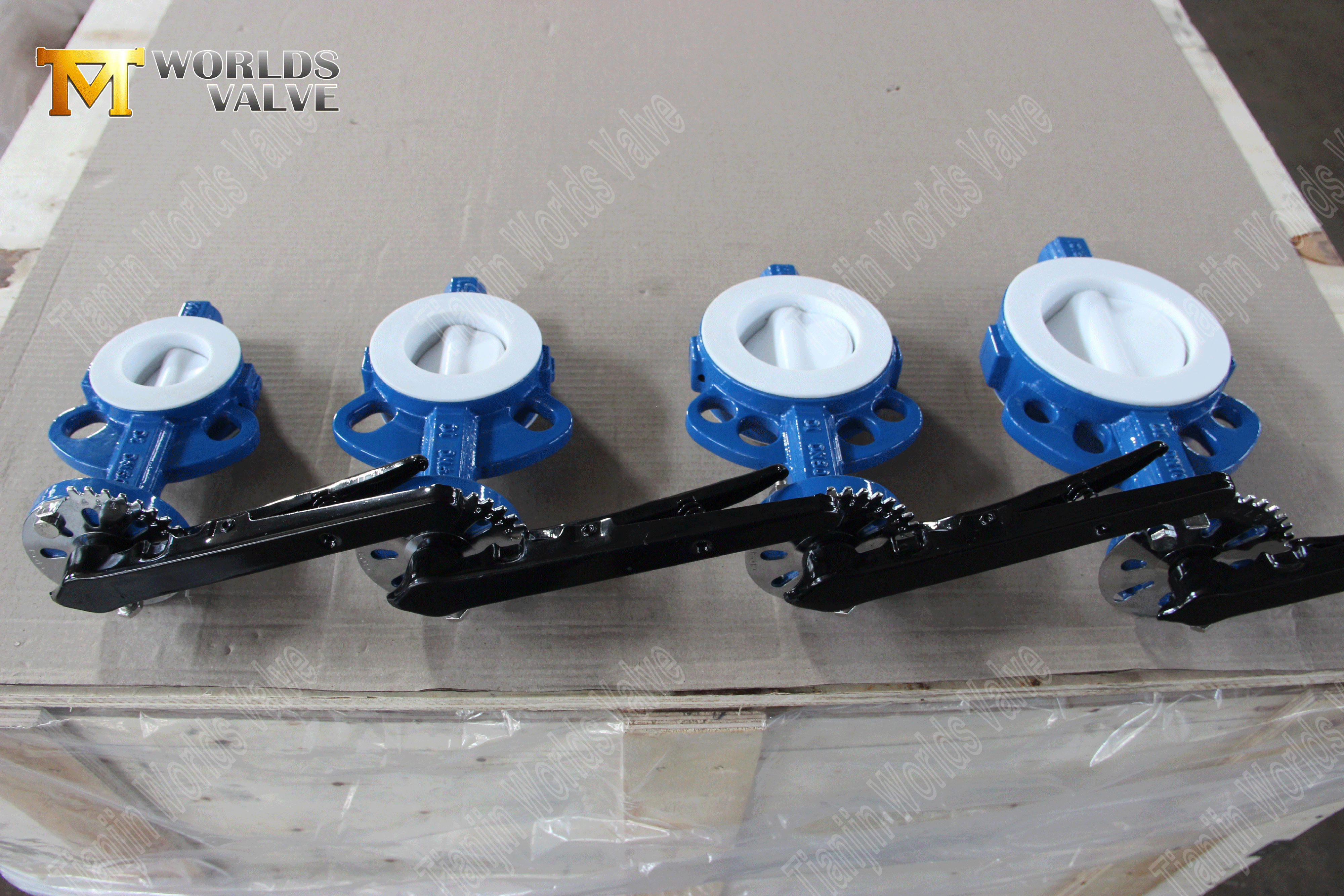 Ptfe-lined-butterfly-vaves-wafer-type-butterfly-valve-factory-from-china- (7)