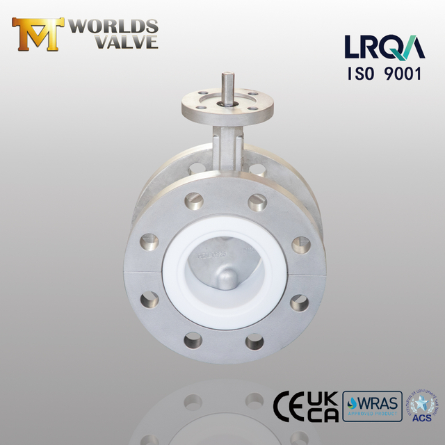 PTFE SIÈGE ET SALVES DE PAPILLE À LA VANIFICATION À LA FLANGE