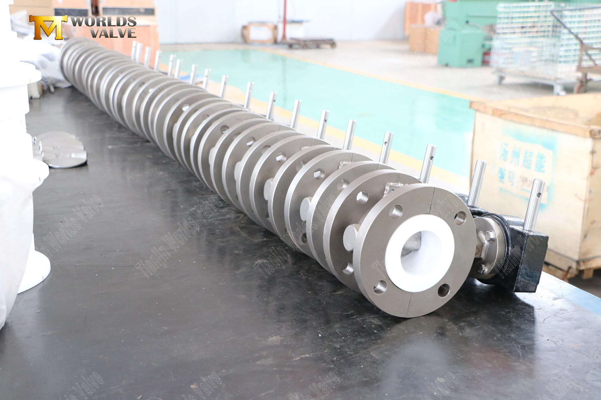 PTFE SI&Egrave;GE ET SALVES DE PORTON &Agrave; LA RECHETS DE DISC INT&Eacute;RIEURE (10) (10)